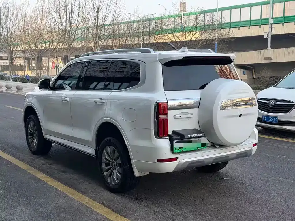 Tank 500 New Energy 2024 из CN, фото 6