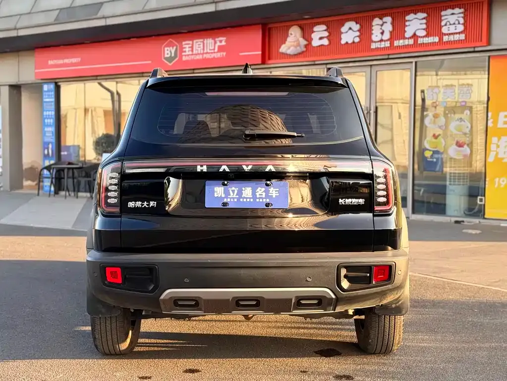Haval Big Dog — фото 9