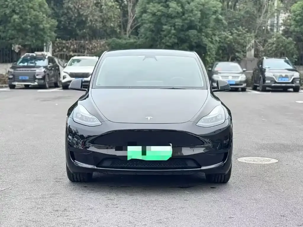 Tesla Model Y — фото 3