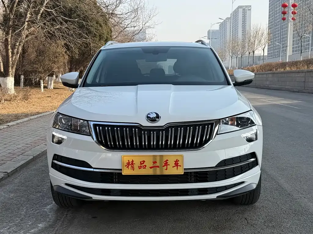 Skoda Karoq 2022 из CN, фото 1