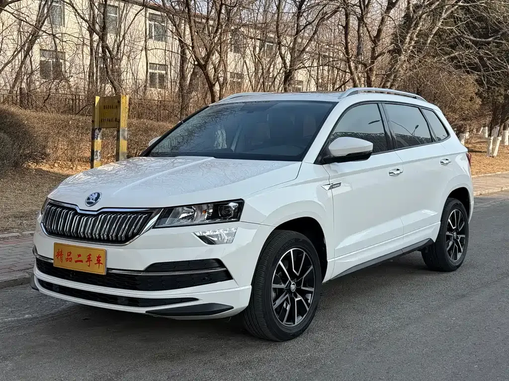 Skoda Karoq 2022 из CN, фото 8