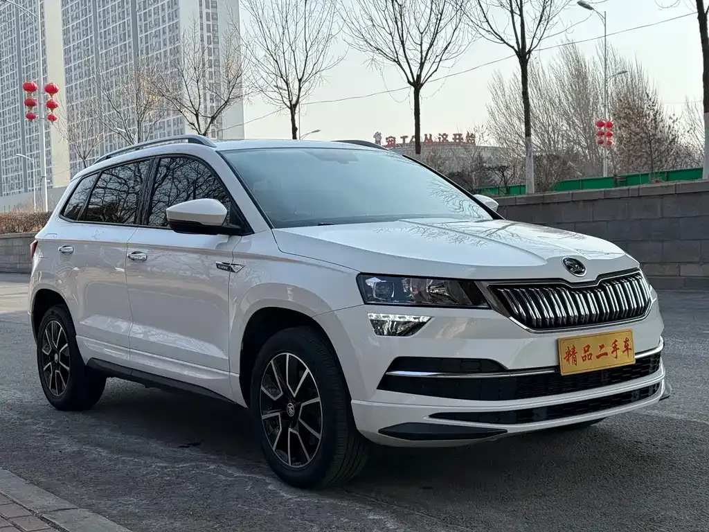 Skoda Karoq 2022 из CN, фото 3