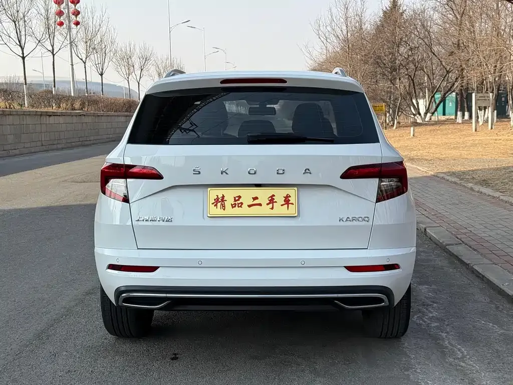 Skoda Karoq 2022 из CN, фото 7