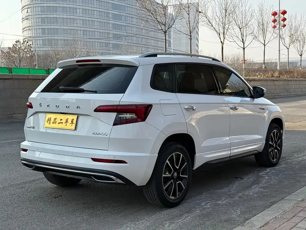 Skoda Karoq 2022 из CN, фото 4