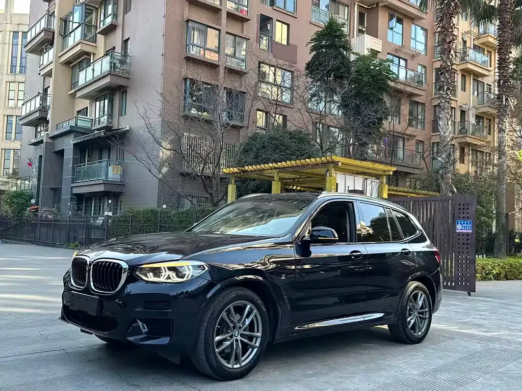 BMW X3 2021 из CN, фото 6