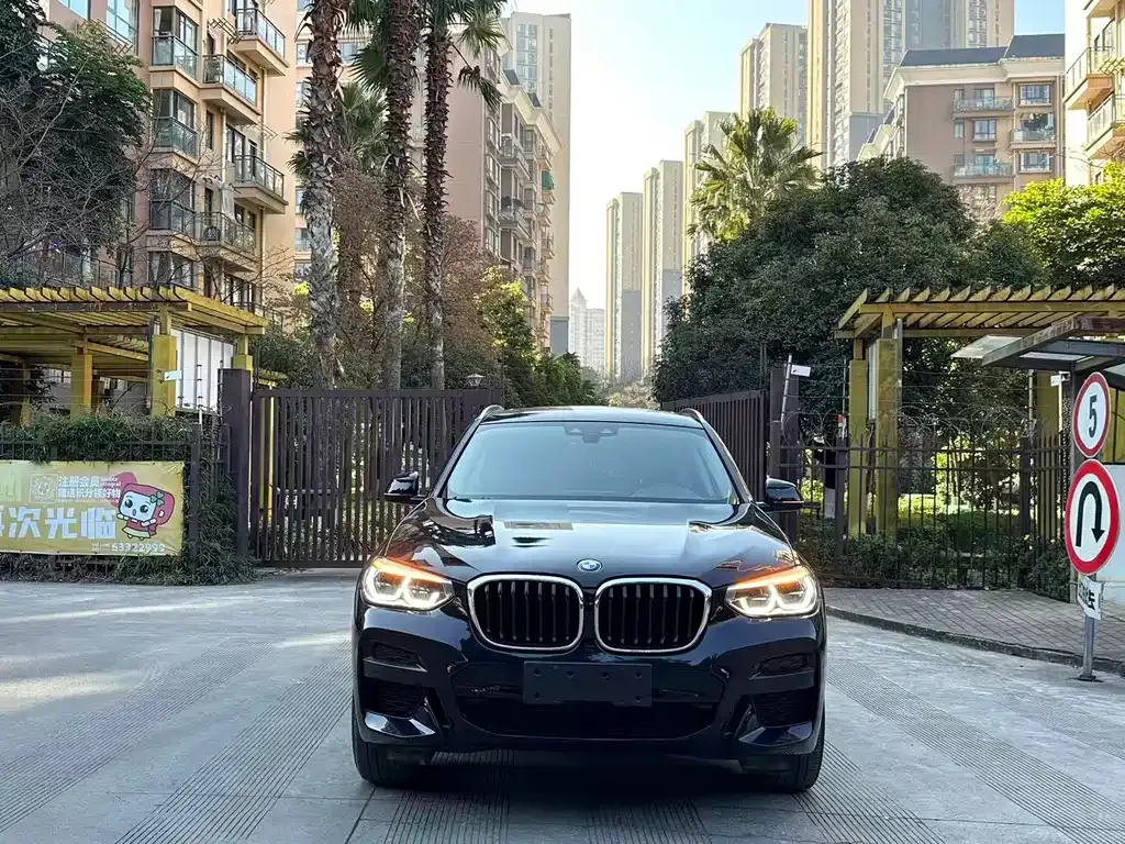 BMW X3 2021 из CN, фото 10
