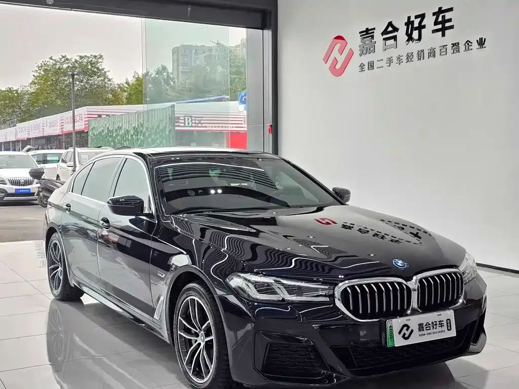 BMW 5 Series New Energy — фото 5