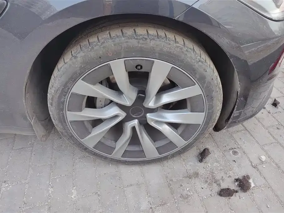 Tesla Model 3 2024 из CN, фото 8