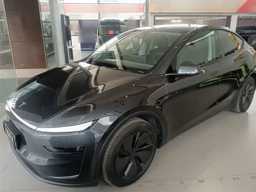 Tesla Model Y — фото 10