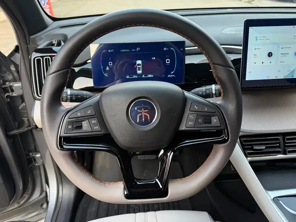 BYD Pro New Energy — фото 10