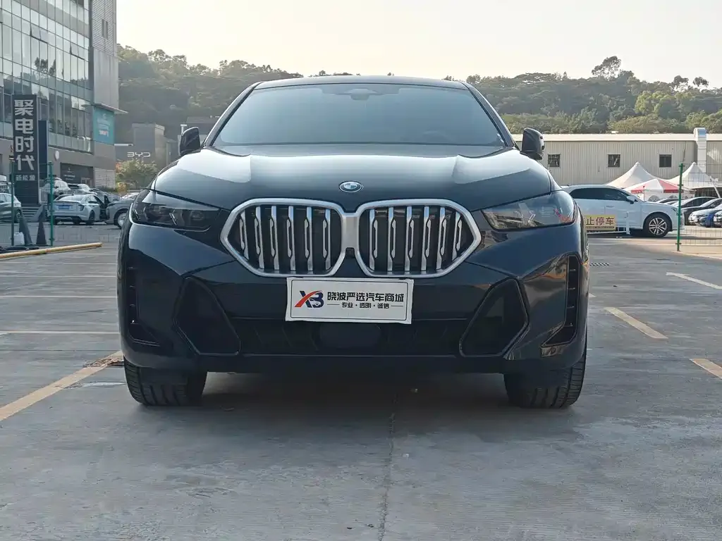 BMW X6 2024 из CN, фото 7