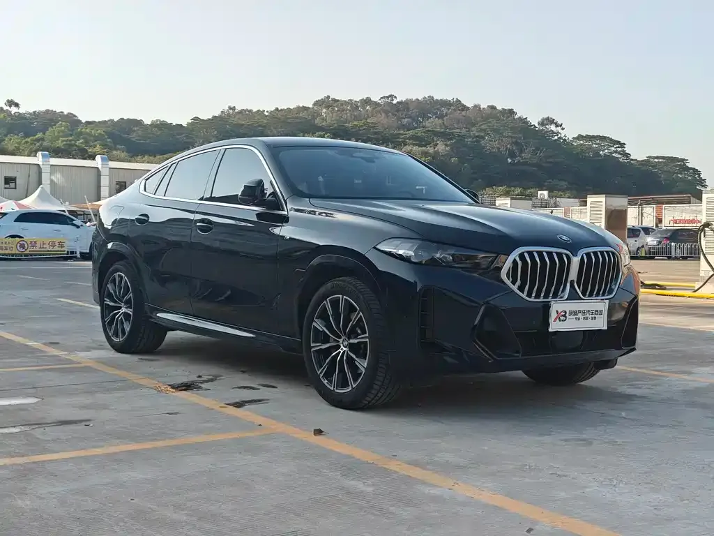 BMW X6 2024 из CN, фото 3