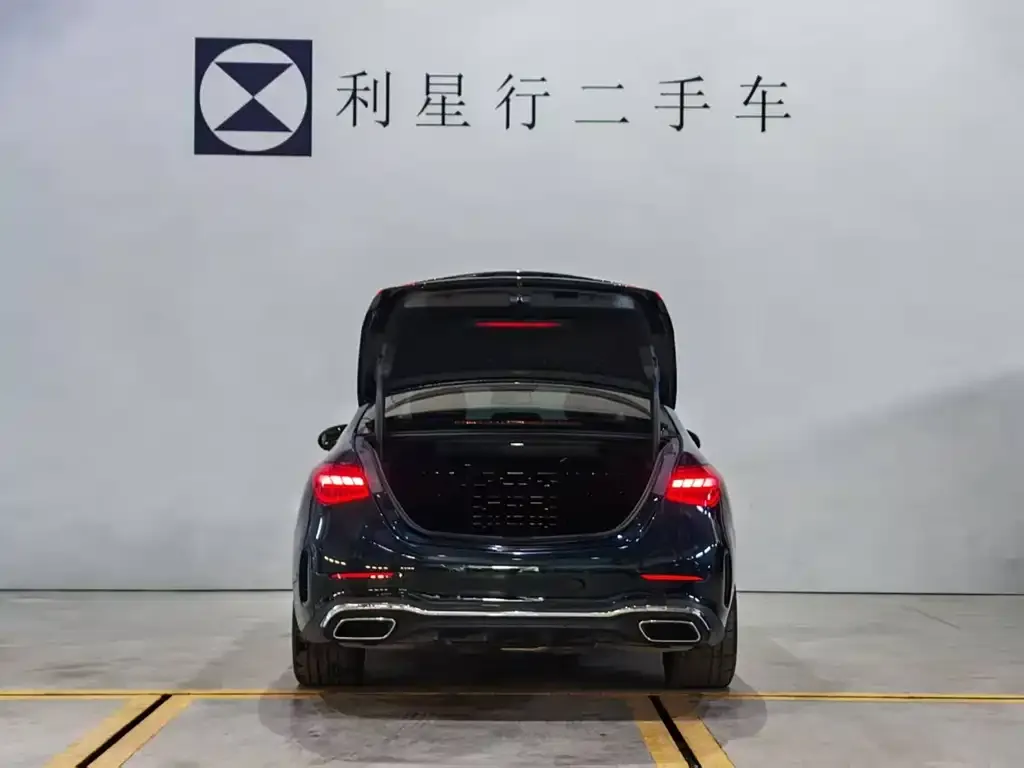 Mercedes-Benz C-Class New Energy — фото 3