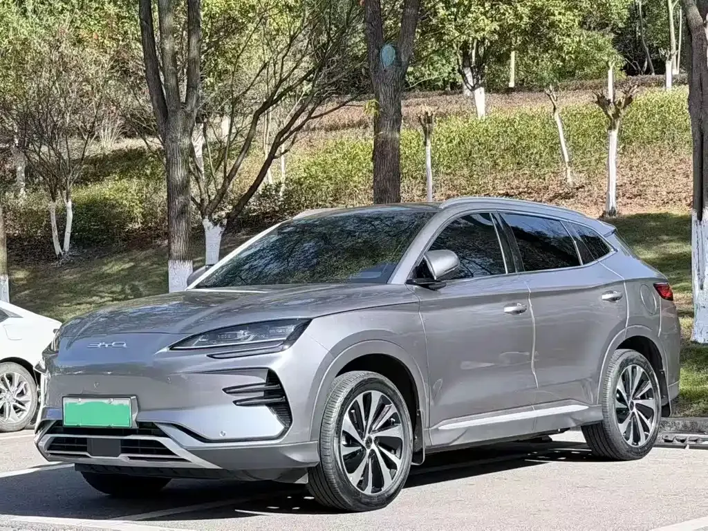 BYD PLUS New Energy 2024 из CN, фото 1