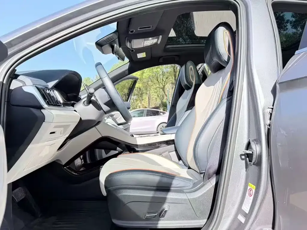BYD PLUS New Energy 2024 из CN, фото 2