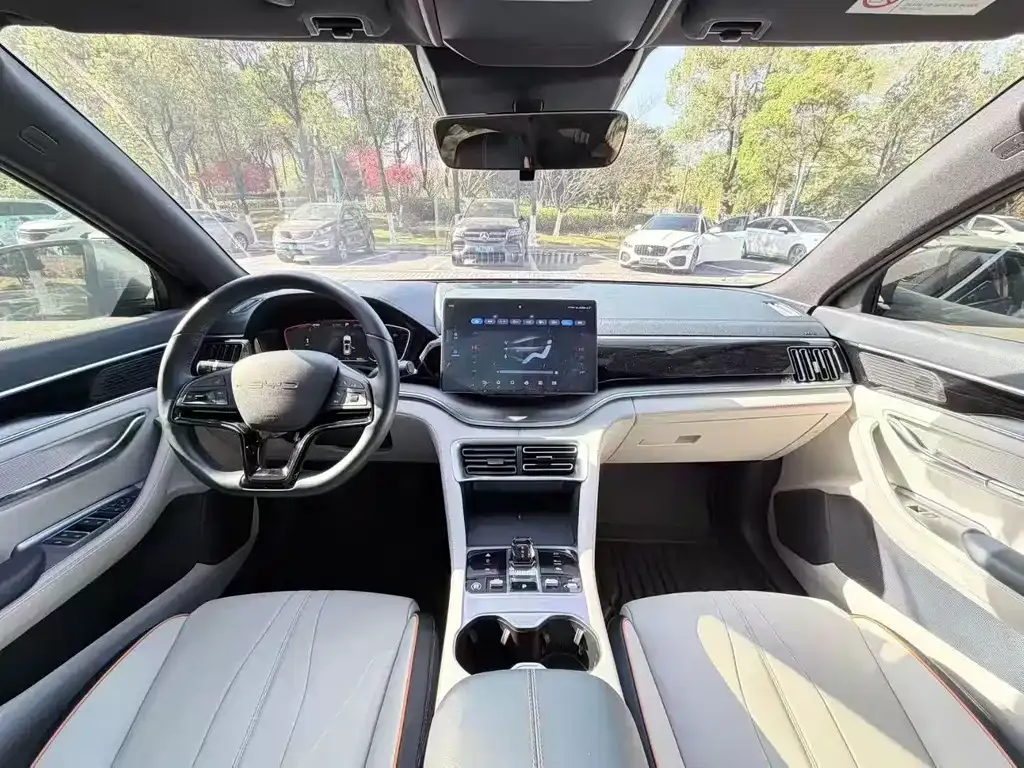 BYD PLUS New Energy 2024 из CN, фото 5