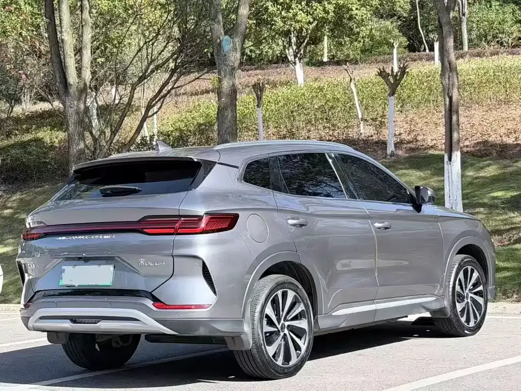 BYD PLUS New Energy 2024 из CN, фото 4