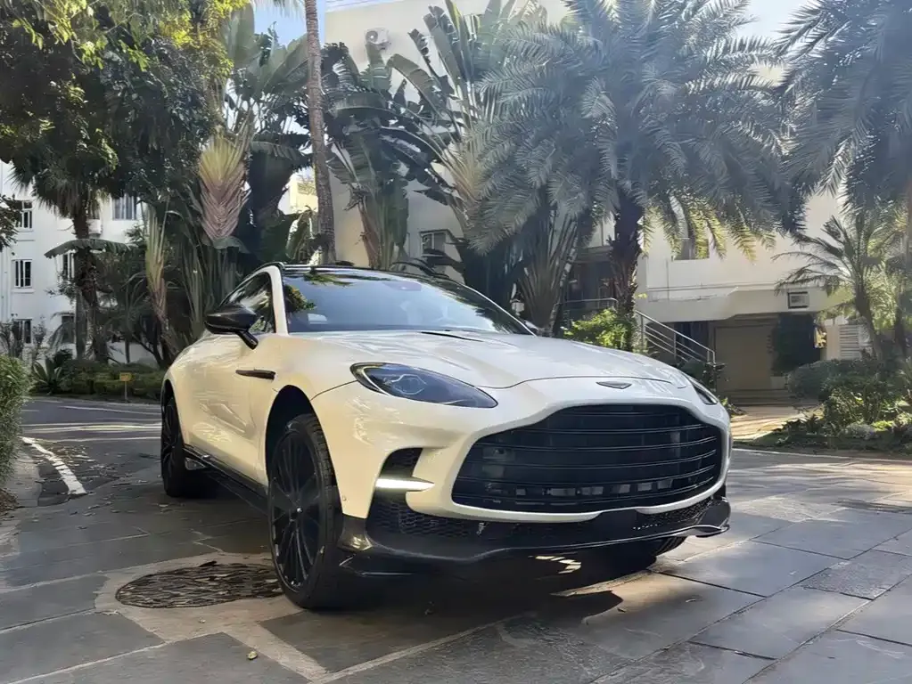 Aston Martin DBX — фото 10