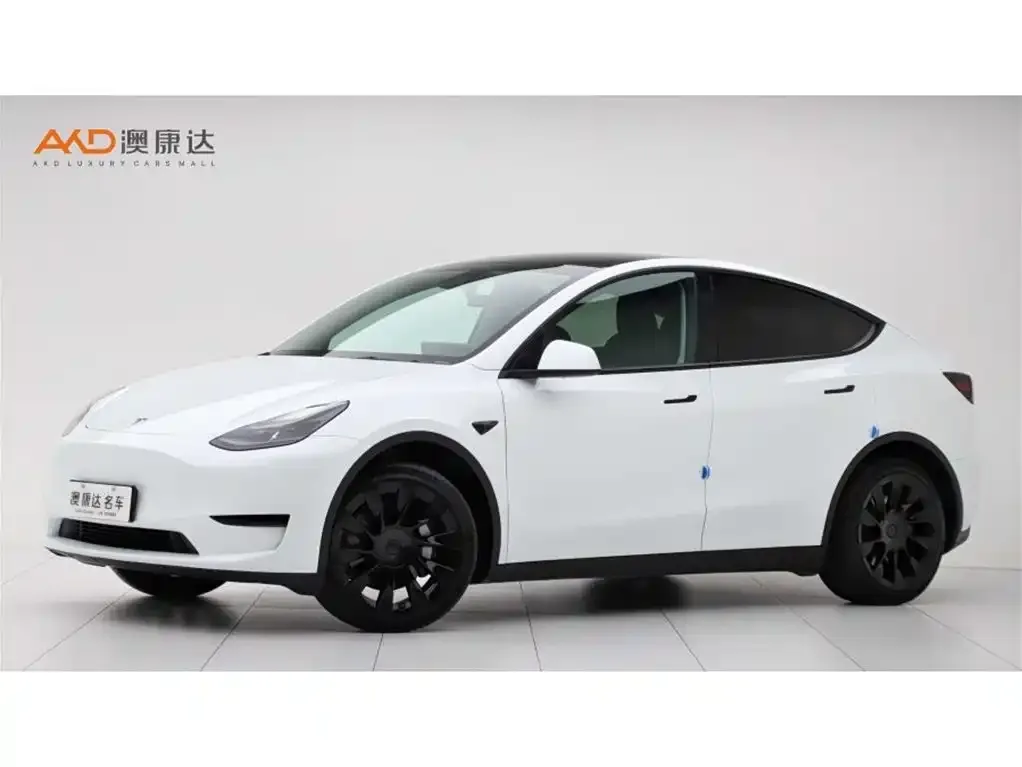 Tesla Model Y 2024 из CN, фото 1