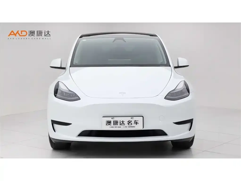 Tesla Model Y 2024 из CN, фото 4