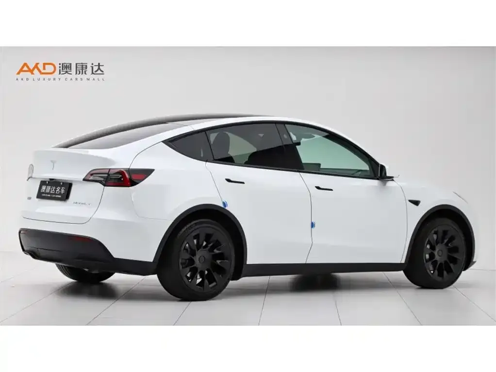 Tesla Model Y 2024 из CN, фото 2