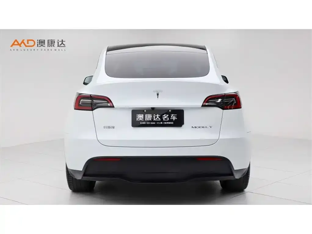 Tesla Model Y 2024 из CN, фото 5