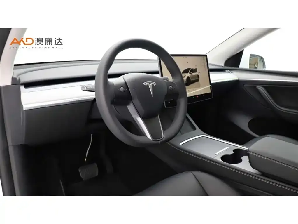 Tesla Model Y 2024 из CN, фото 9