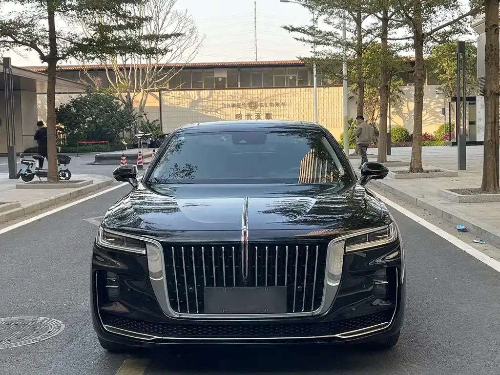 Hongqi H9 2022 из CN, фото 3