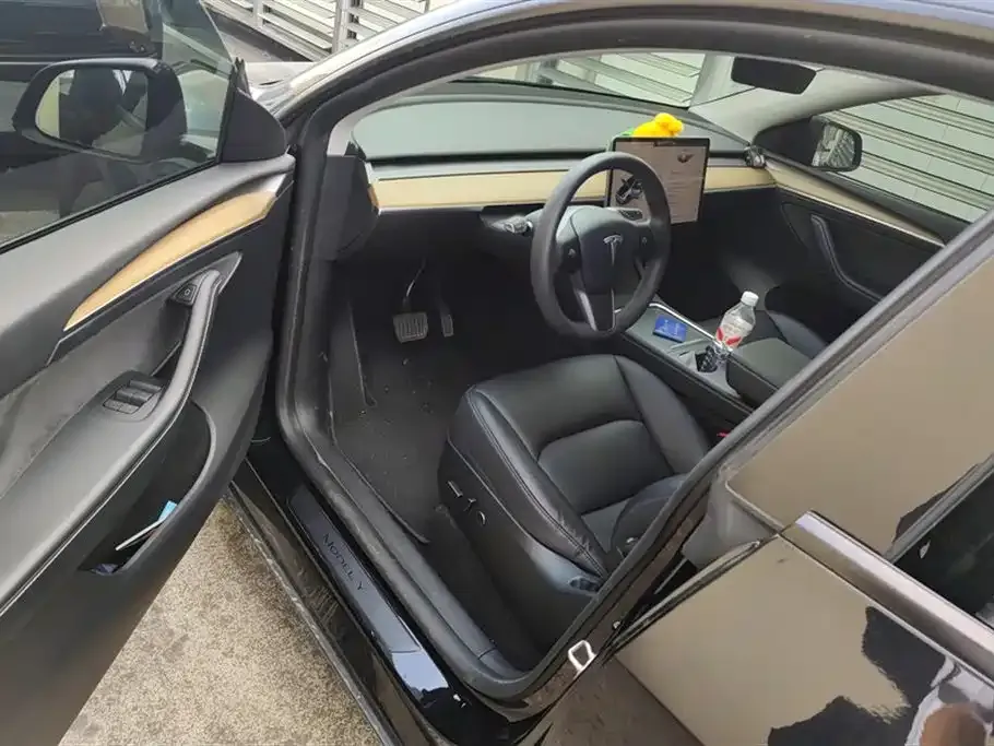 Tesla Model Y 2023 из CN, фото 9