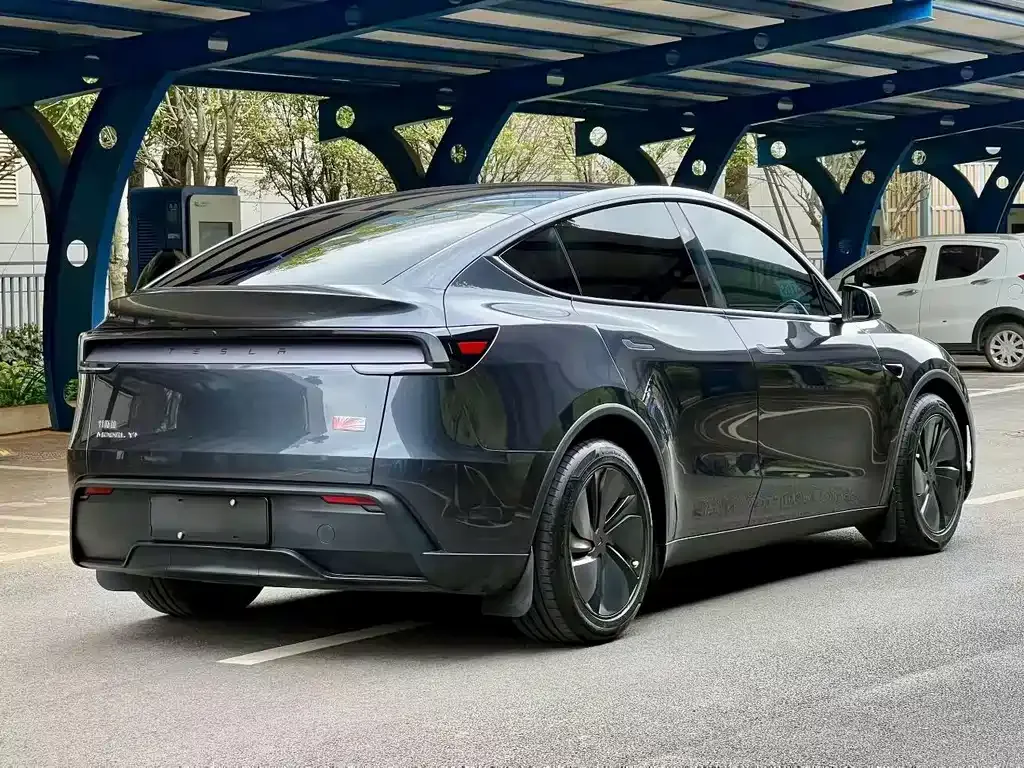 Tesla Model Y — фото 9