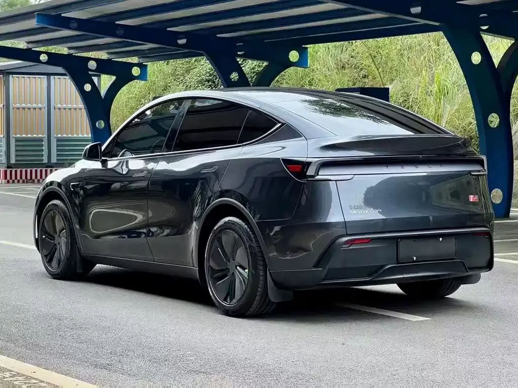 Tesla Model Y — фото 6