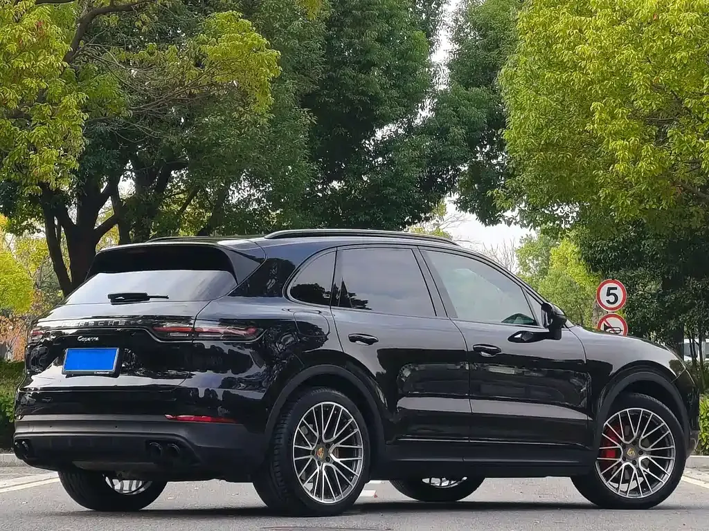 Porsche Cayenne — фото 10