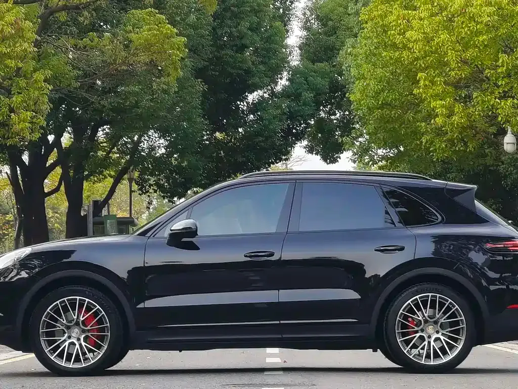 Porsche Cayenne — фото 9