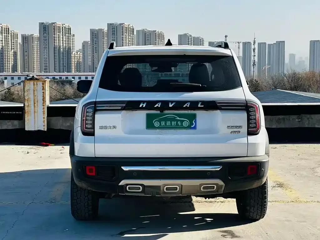 Haval Big Dog 2021 из CN, фото 5