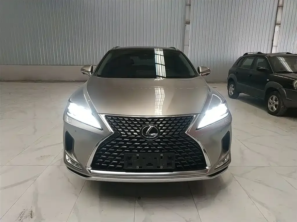 Lexus RX 2021 из CN, фото 3