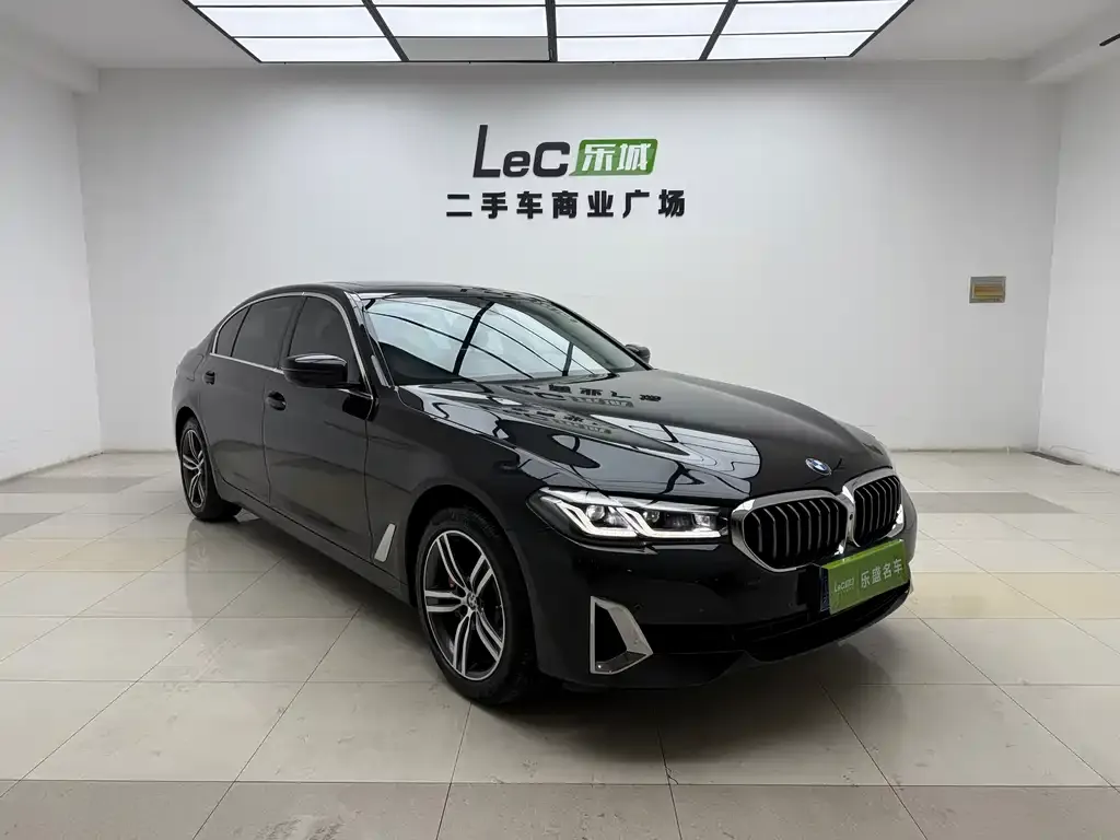 BMW 5 Series 2021 из CN, фото 7