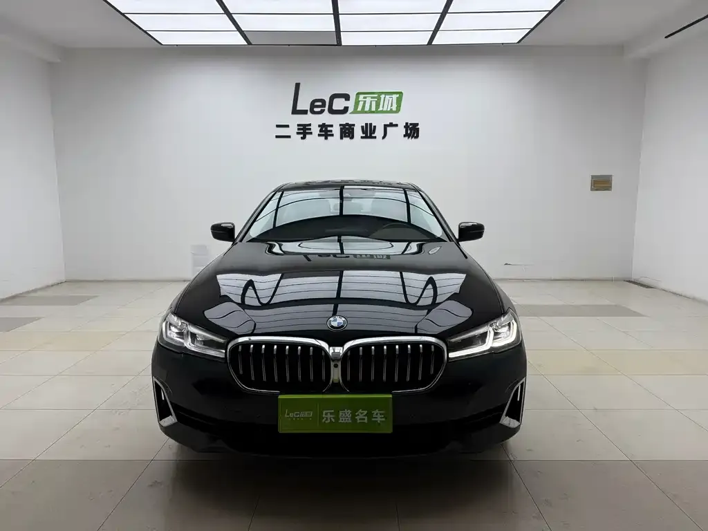 BMW 5 Series 2021 из CN, фото 2