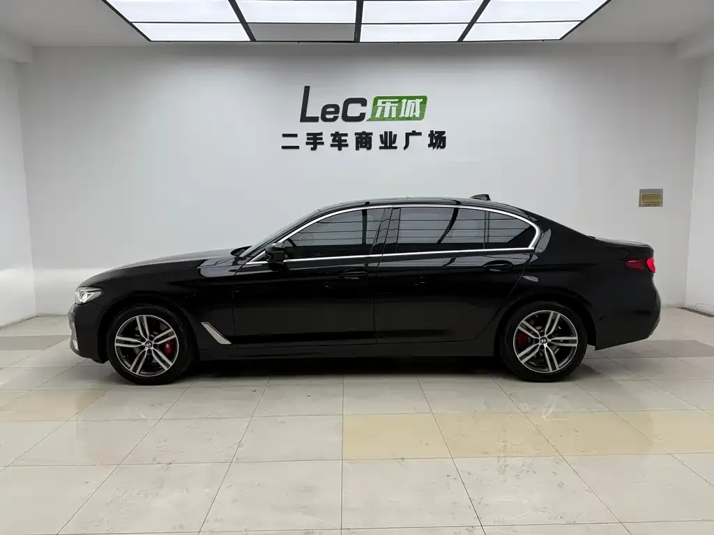 BMW 5 Series 2021 из CN, фото 5