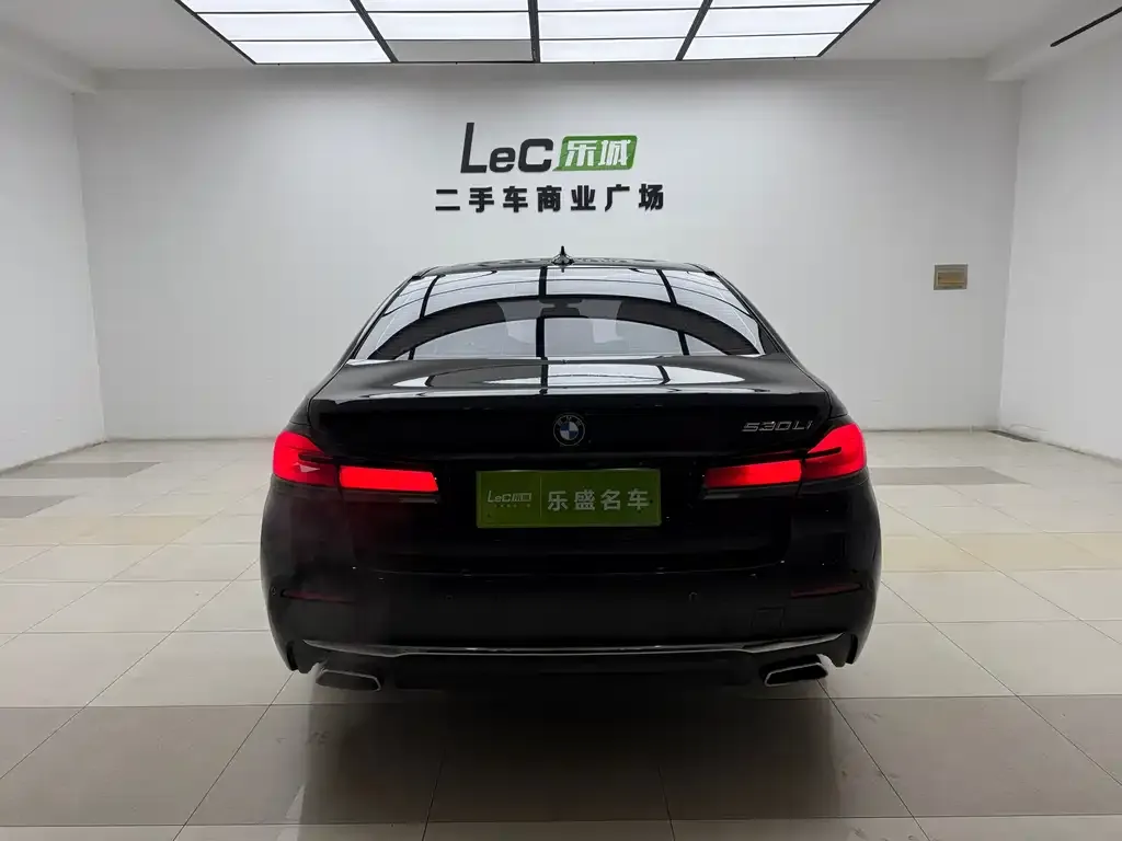 BMW 5 Series 2021 из CN, фото 8