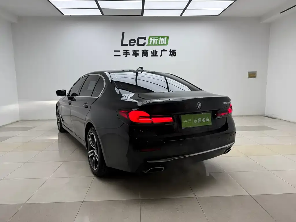 BMW 5 Series 2021 из CN, фото 3