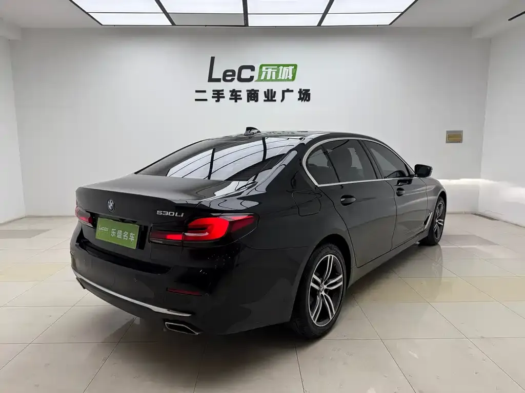 BMW 5 Series 2021 из CN, фото 9