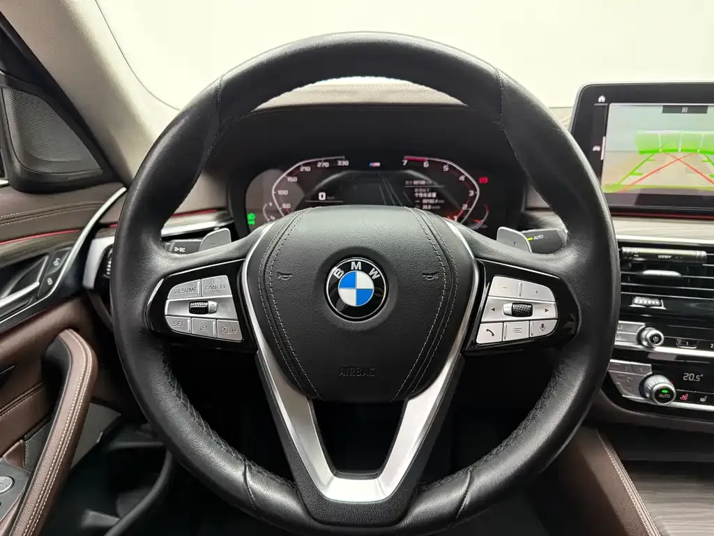 BMW 5 Series 2021 из CN, фото 10