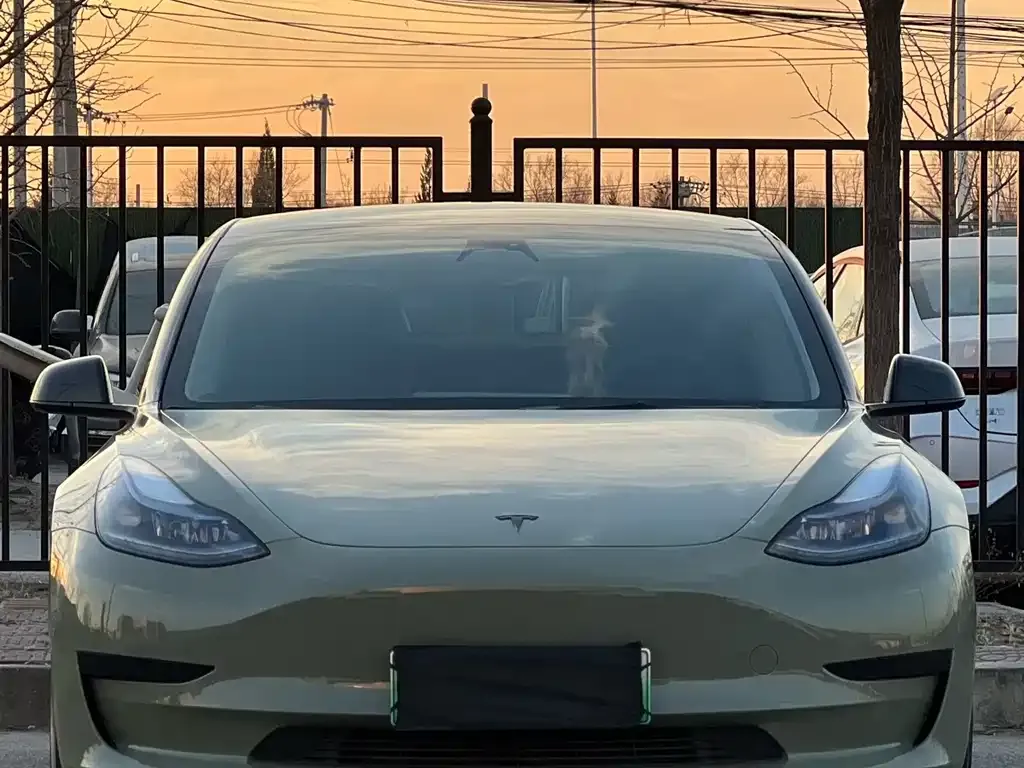 Tesla Model 3 2023 из CN, фото 2