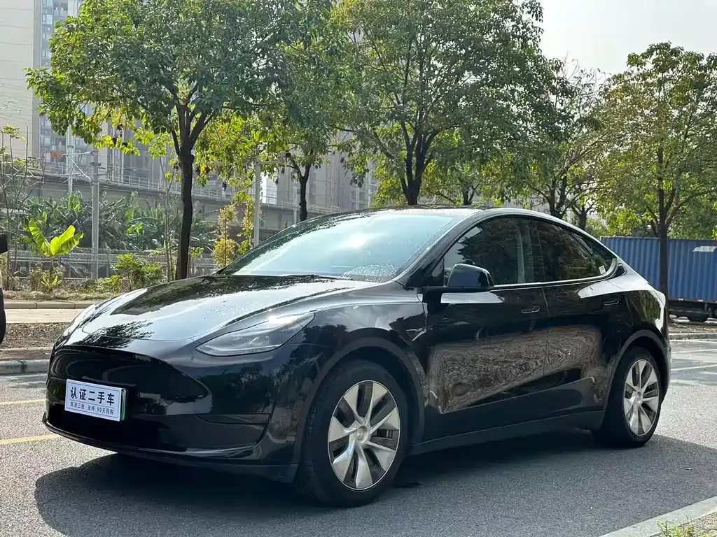 Tesla Model Y 2022 из CN, фото 1