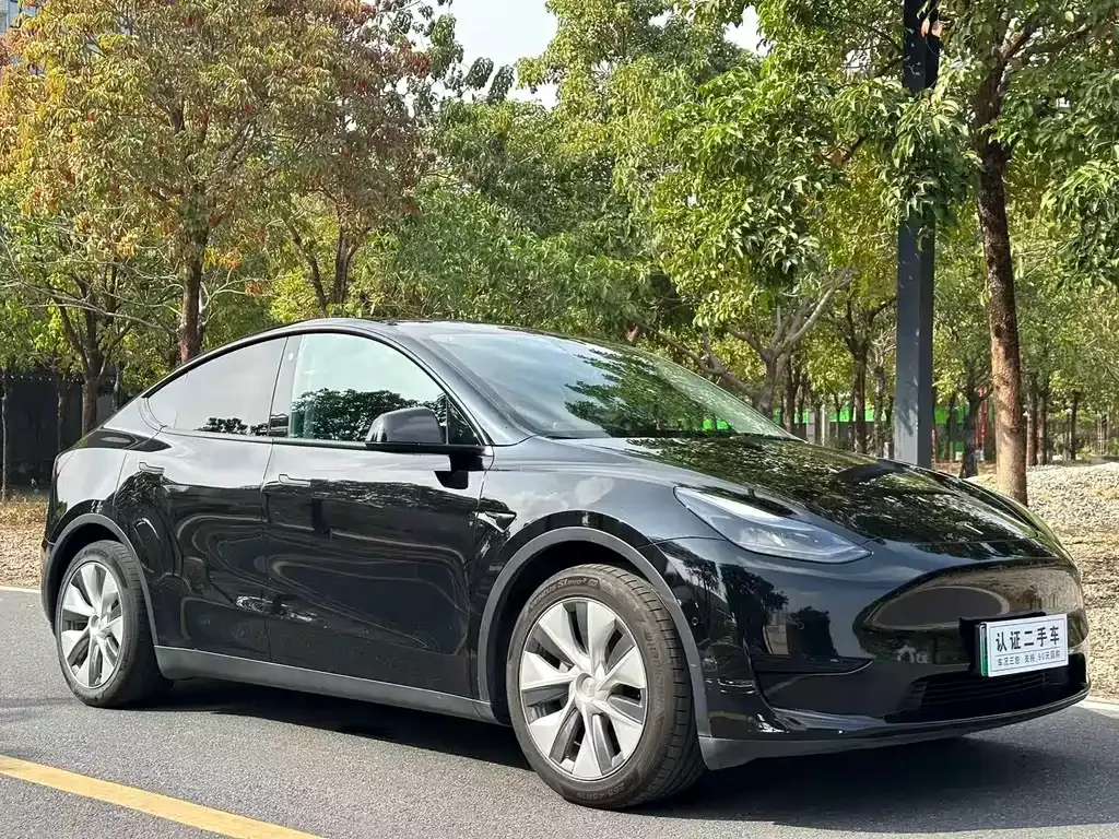 Tesla Model Y 2022 из CN, фото 8