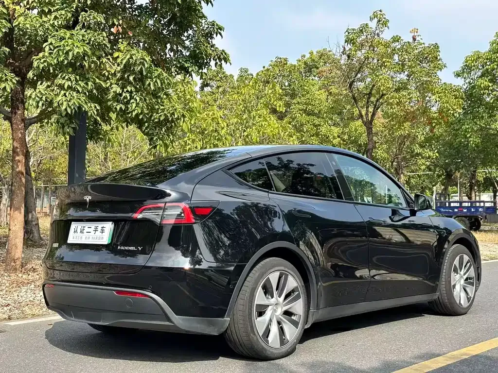 Tesla Model Y 2022 из CN, фото 6