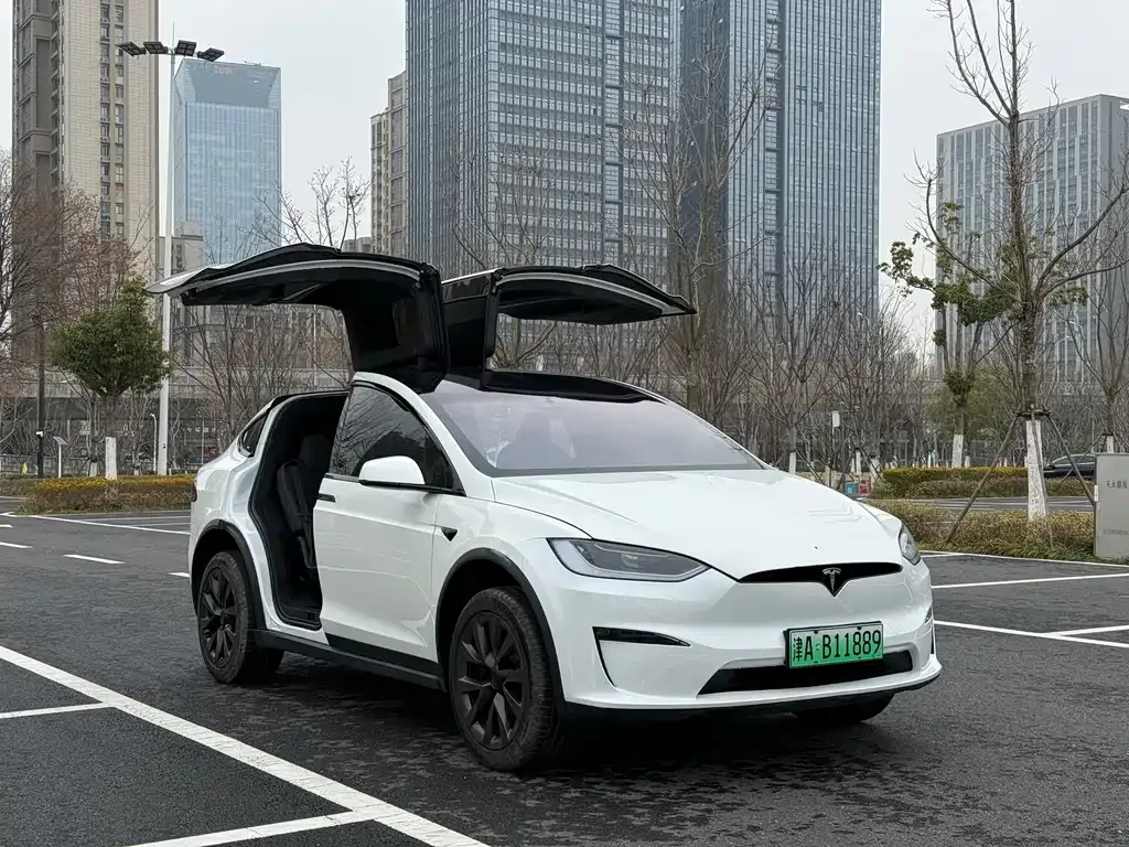 Tesla Model X — фото 8