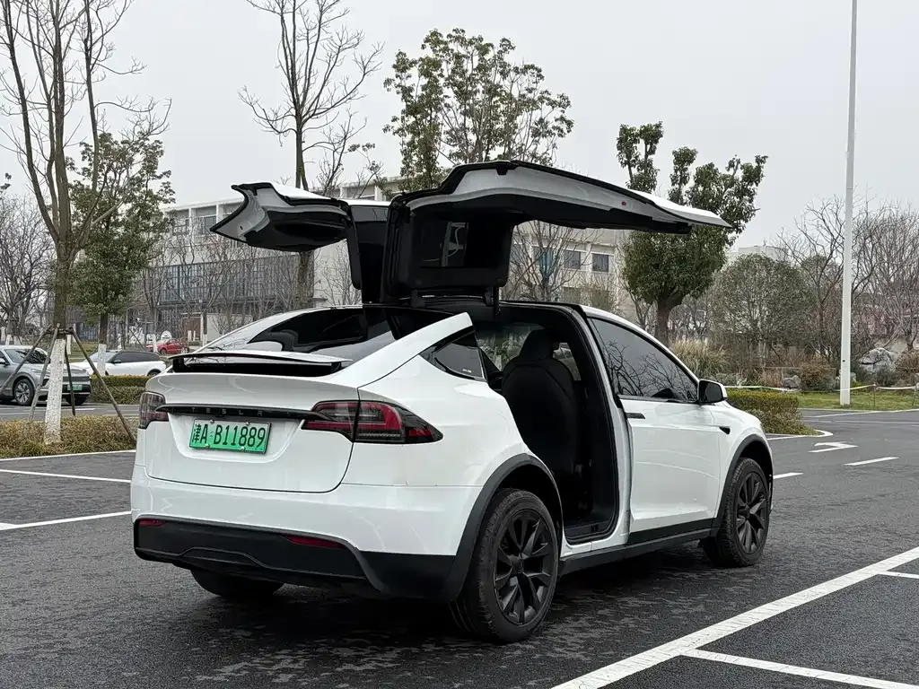 Tesla Model X — фото 10