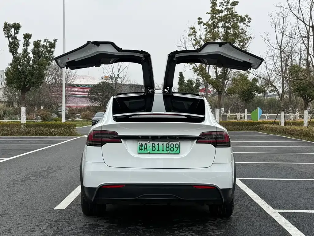Tesla Model X — фото 7