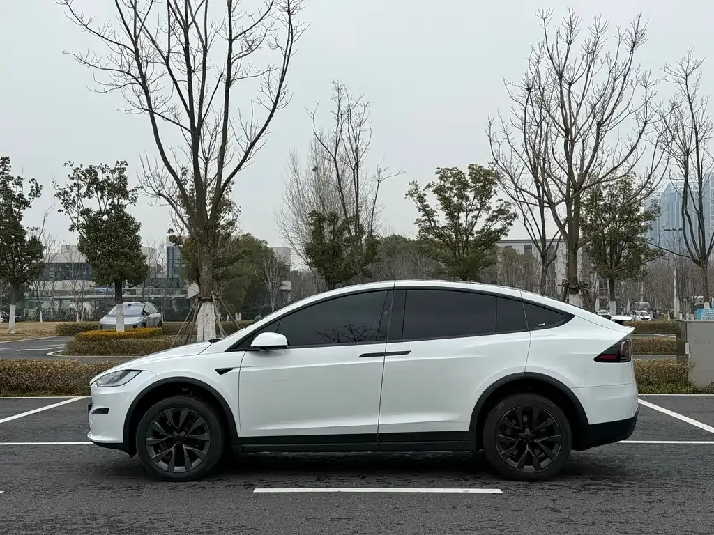 Tesla Model X — фото 5